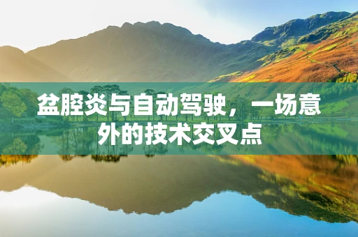 盆腔炎与自动驾驶，一场意外的技术交叉点