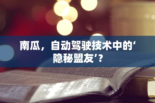 南瓜，自动驾驶技术中的‘隐秘盟友’？