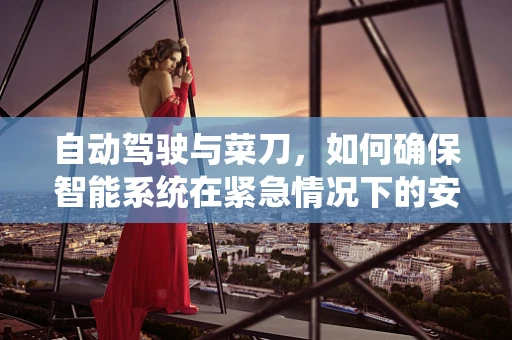 自动驾驶与菜刀，如何确保智能系统在紧急情况下的安全‘切’入？