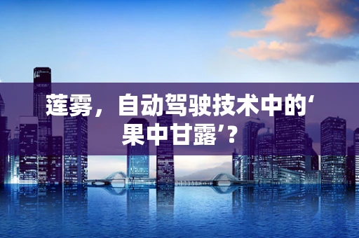 莲雾，自动驾驶技术中的‘果中甘露’？