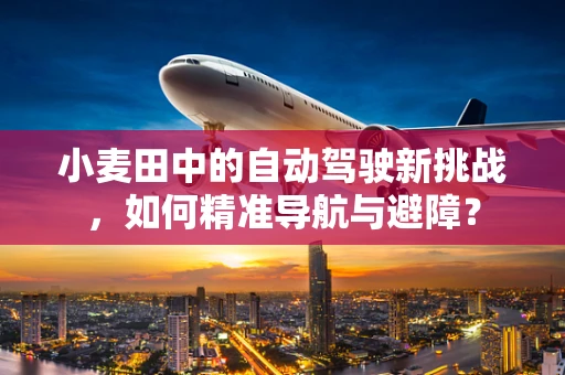 小麦田中的自动驾驶新挑战，如何精准导航与避障？