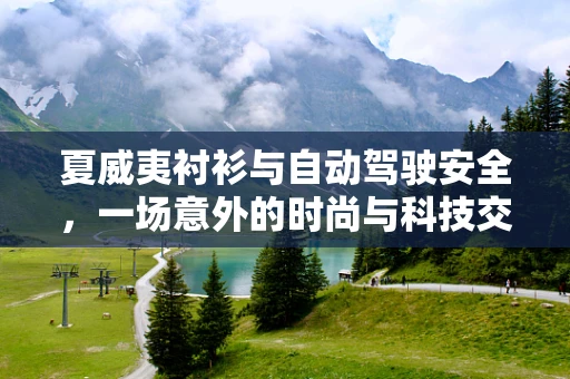 夏威夷衬衫与自动驾驶安全，一场意外的时尚与科技交融