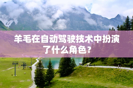 羊毛在自动驾驶技术中扮演了什么角色？