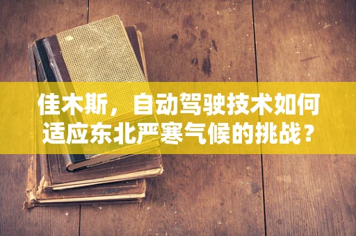 佳木斯，自动驾驶技术如何适应东北严寒气候的挑战？