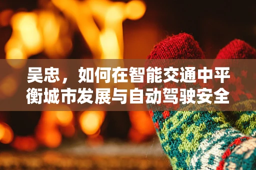吴忠，如何在智能交通中平衡城市发展与自动驾驶安全？