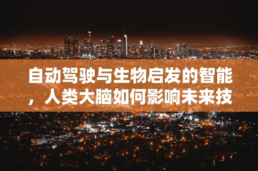 自动驾驶与生物启发的智能，人类大脑如何影响未来技术？