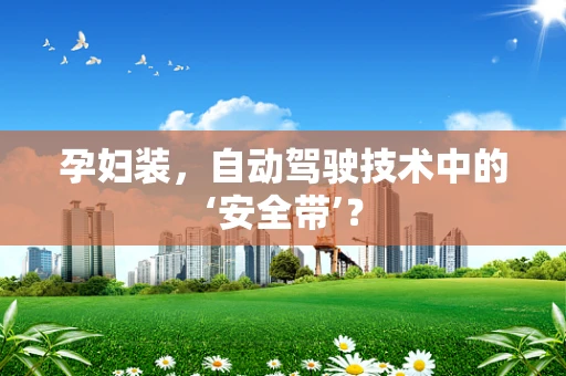 孕妇装，自动驾驶技术中的‘安全带’？