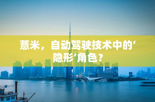 薏米，自动驾驶技术中的‘隐形’角色？