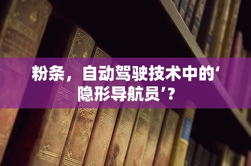 粉条，自动驾驶技术中的‘隐形导航员’？