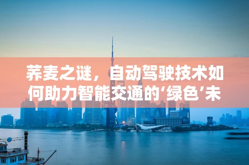 荞麦之谜，自动驾驶技术如何助力智能交通的‘绿色’未来？