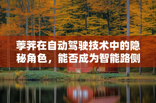 荸荠在自动驾驶技术中的隐秘角色，能否成为智能路侧单元的‘地下哨兵’？