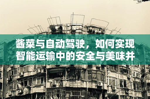酱菜与自动驾驶，如何实现智能运输中的安全与美味并重？
