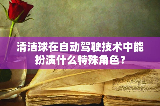 清洁球在自动驾驶技术中能扮演什么特殊角色？