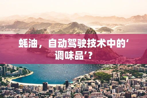 蚝油，自动驾驶技术中的‘调味品’？