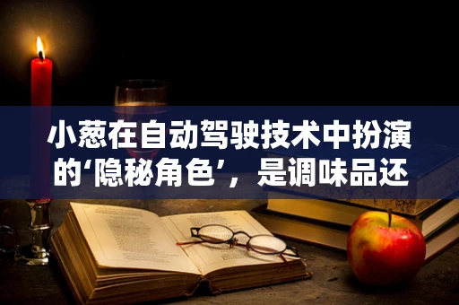 小葱在自动驾驶技术中扮演的‘隐秘角色’，是调味品还是传感器？