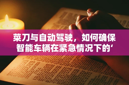 菜刀与自动驾驶，如何确保智能车辆在紧急情况下的‘精准切割’？