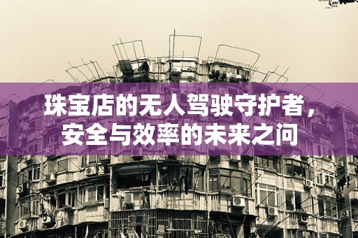 珠宝店的无人驾驶守护者，安全与效率的未来之问