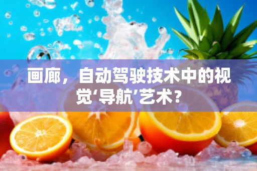画廊，自动驾驶技术中的视觉‘导航’艺术？