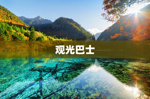 观光巴士
