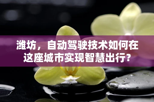 潍坊，自动驾驶技术如何在这座城市实现智慧出行？