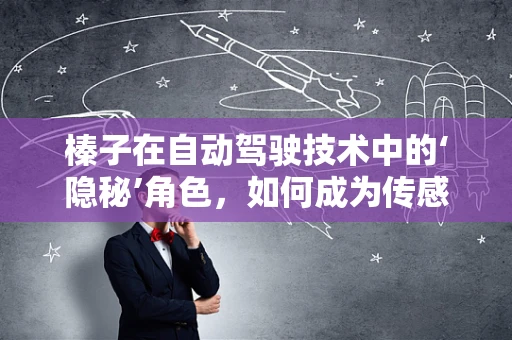 榛子在自动驾驶技术中的‘隐秘’角色，如何成为传感器优化的意外之选？
