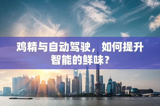 鸡精与自动驾驶，如何提升智能的鲜味？
