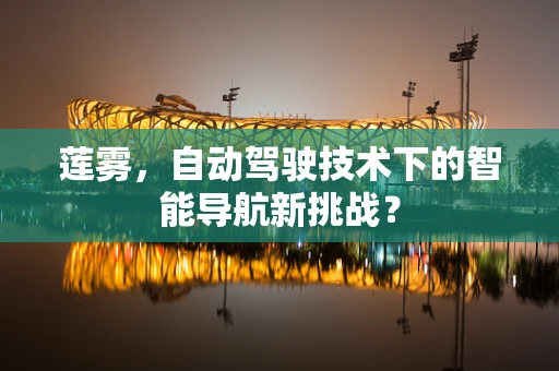 莲雾，自动驾驶技术下的智能导航新挑战？