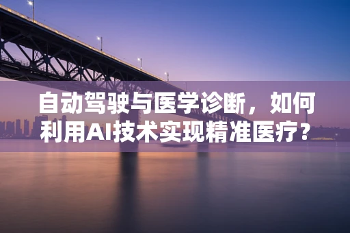 自动驾驶与医学诊断，如何利用AI技术实现精准医疗？