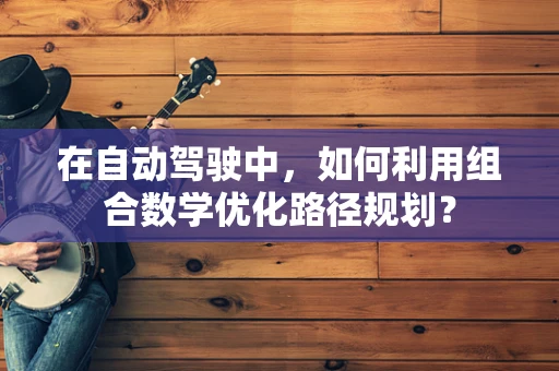 在自动驾驶中，如何利用组合数学优化路径规划？