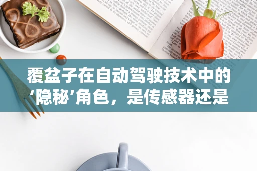 覆盆子在自动驾驶技术中的‘隐秘’角色，是传感器还是未来趋势的象征？