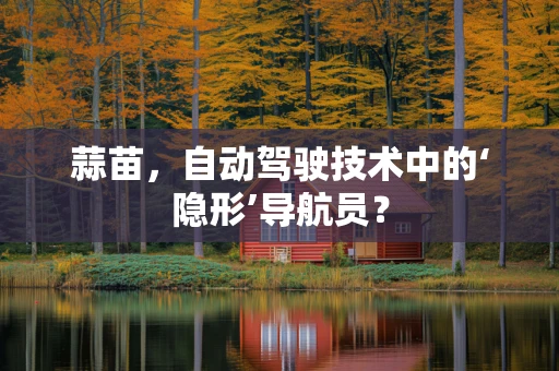 蒜苗，自动驾驶技术中的‘隐形’导航员？