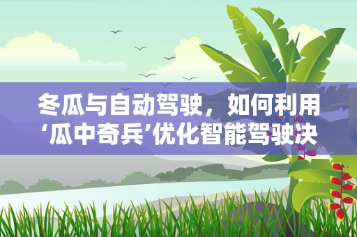 冬瓜与自动驾驶，如何利用‘瓜中奇兵’优化智能驾驶决策？