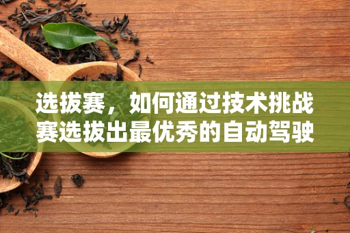 选拔赛，如何通过技术挑战赛选拔出最优秀的自动驾驶技术人才？