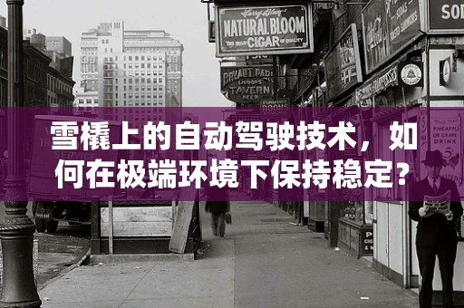 雪橇上的自动驾驶技术，如何在极端环境下保持稳定？