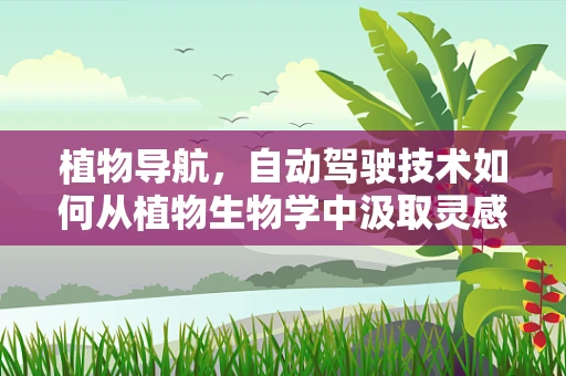 植物导航，自动驾驶技术如何从植物生物学中汲取灵感？