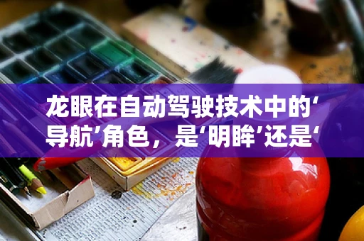 龙眼在自动驾驶技术中的‘导航’角色，是‘明眸’还是‘盲点’？