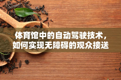 体育馆中的自动驾驶技术，如何实现无障碍的观众接送？