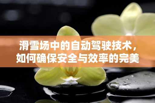 滑雪场中的自动驾驶技术，如何确保安全与效率的完美结合？