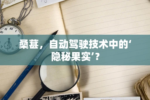 桑葚，自动驾驶技术中的‘隐秘果实’？