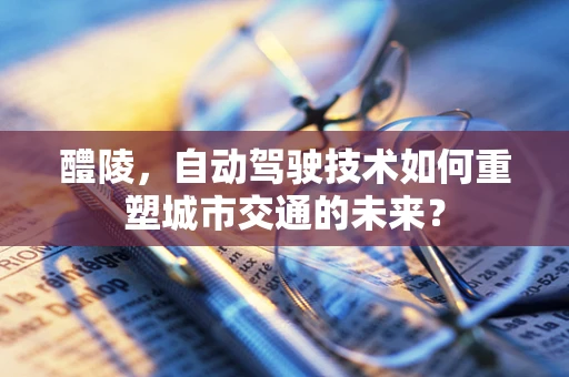 醴陵，自动驾驶技术如何重塑城市交通的未来？