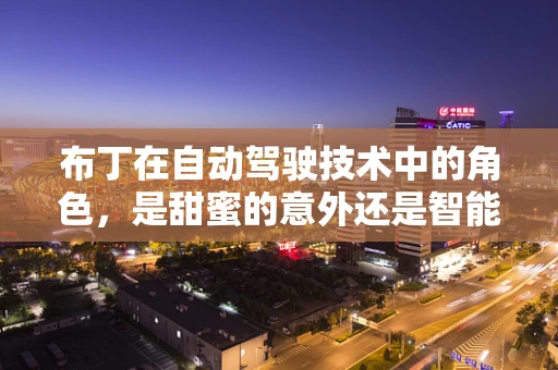布丁在自动驾驶技术中的角色，是甜蜜的意外还是智能的辅助？