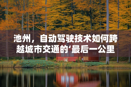 池州，自动驾驶技术如何跨越城市交通的‘最后一公里’？