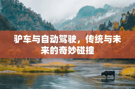 驴车与自动驾驶，传统与未来的奇妙碰撞
