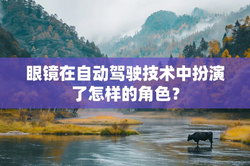 眼镜在自动驾驶技术中扮演了怎样的角色？
