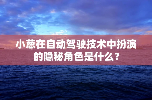 小葱在自动驾驶技术中扮演的隐秘角色是什么？