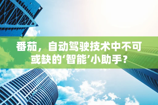 番茄，自动驾驶技术中不可或缺的‘智能’小助手？