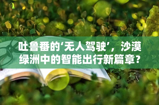 吐鲁番的‘无人驾驶’，沙漠绿洲中的智能出行新篇章？