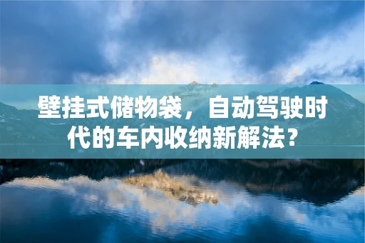 壁挂式储物袋，自动驾驶时代的车内收纳新解法？