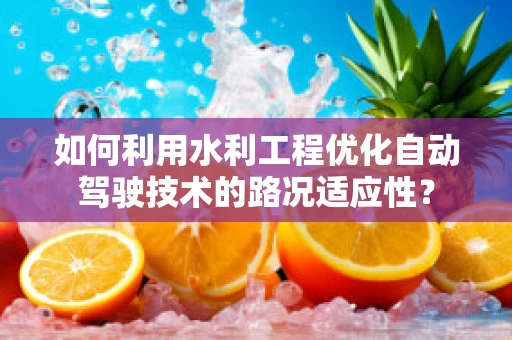 如何利用水利工程优化自动驾驶技术的路况适应性？