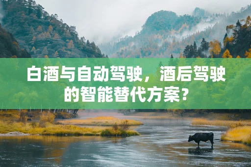白酒与自动驾驶，酒后驾驶的智能替代方案？
